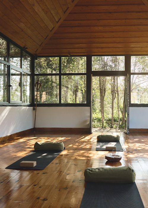 yoga studio with natural light and wooden flooring featuring three meditation cushions a yoga block and a bowl surrounded by greenery ideal for 7 mindfulness practices