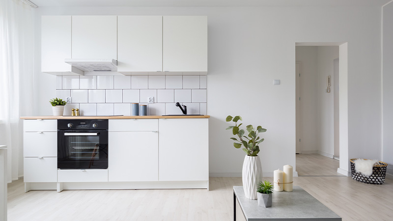 modern kitchen design featuring white cabinets and minimalist decor with a countertop oven and two houseplants on display