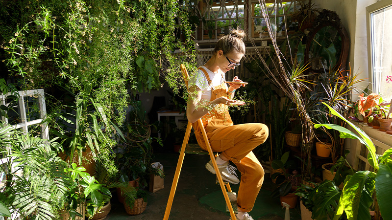 modern kitchen and dining area with stylish furniture and decorative plants in a compact space four designs for small homes