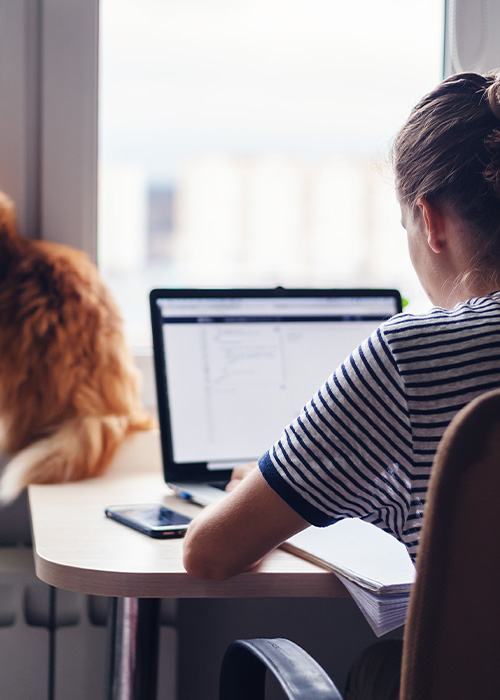 modern home office setup with a desk computer stylish round mirror and vibrant green plants in natural light