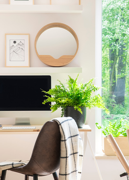 person sitting at a desk working on a laptop with a cat nearby in a well-lit room perfect for home office setup