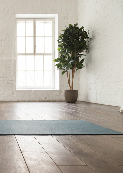 a peaceful room with a blue yoga mat on wooden flooring and a green plant by the window creating a calming atmosphere for relaxation and mindfulness 2 yoga sessions